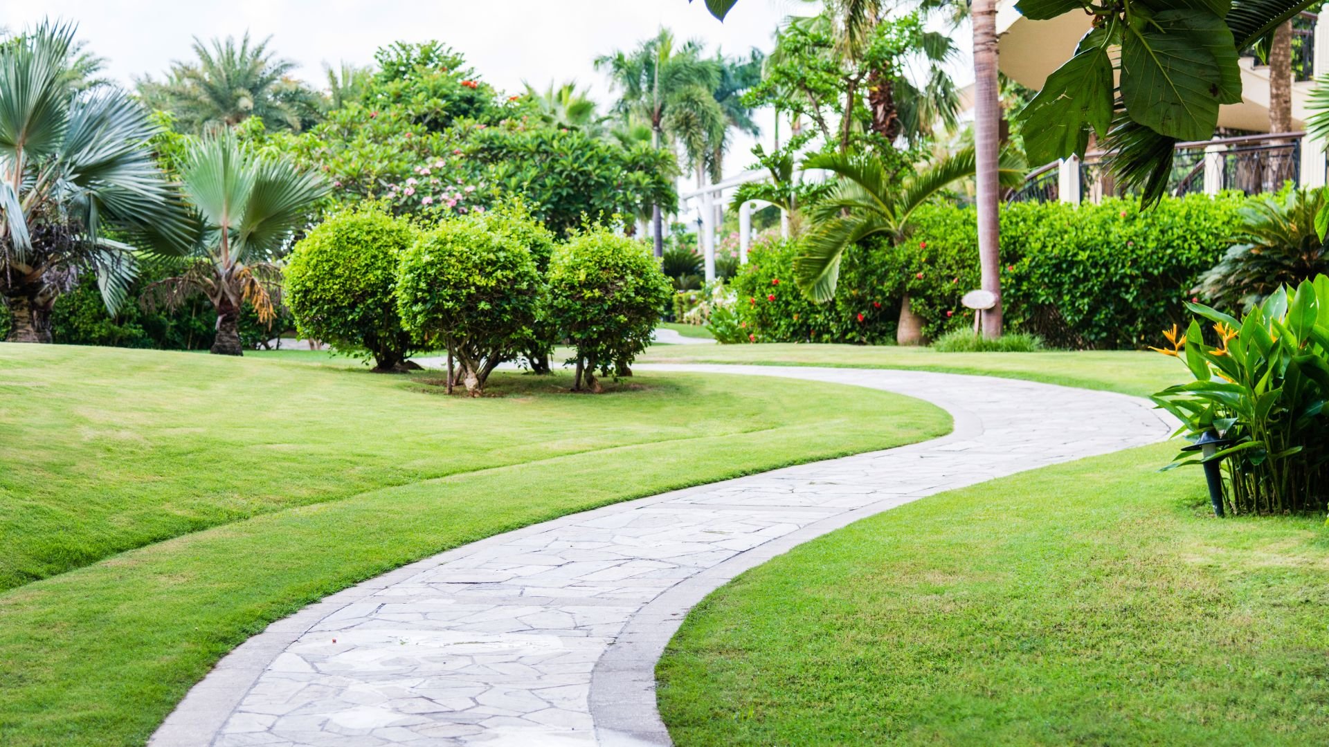 Winding stone path through lush tropical garden with manicured green lawn