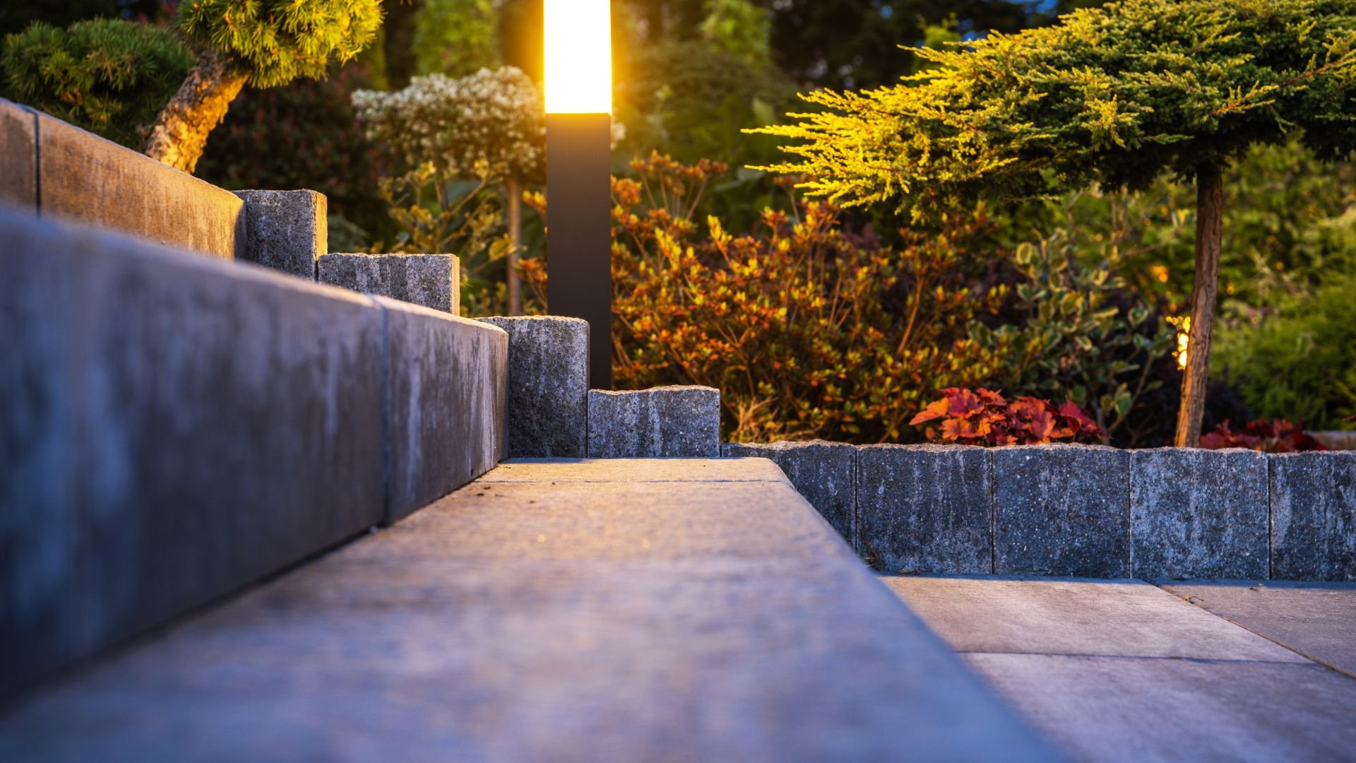 Stone steps leading through a garden with warm sunset lighting